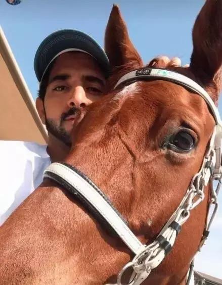 最帅迪拜王子哈曼丹,哈曼丹和威廉王子