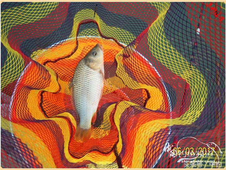 先分后合，爽钓半天