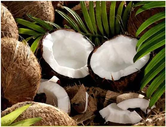 哪种油比混合橄榄油更健康更实惠,橄榄油可以代替妊娠油吗