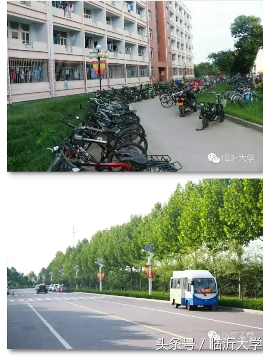 你为什么选择临沂大学,报临沂大学是很好的选择