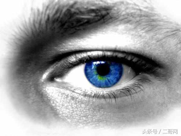 挑选太阳镜的基本标准有哪些,挑选太阳镜的基本标准是什么呢