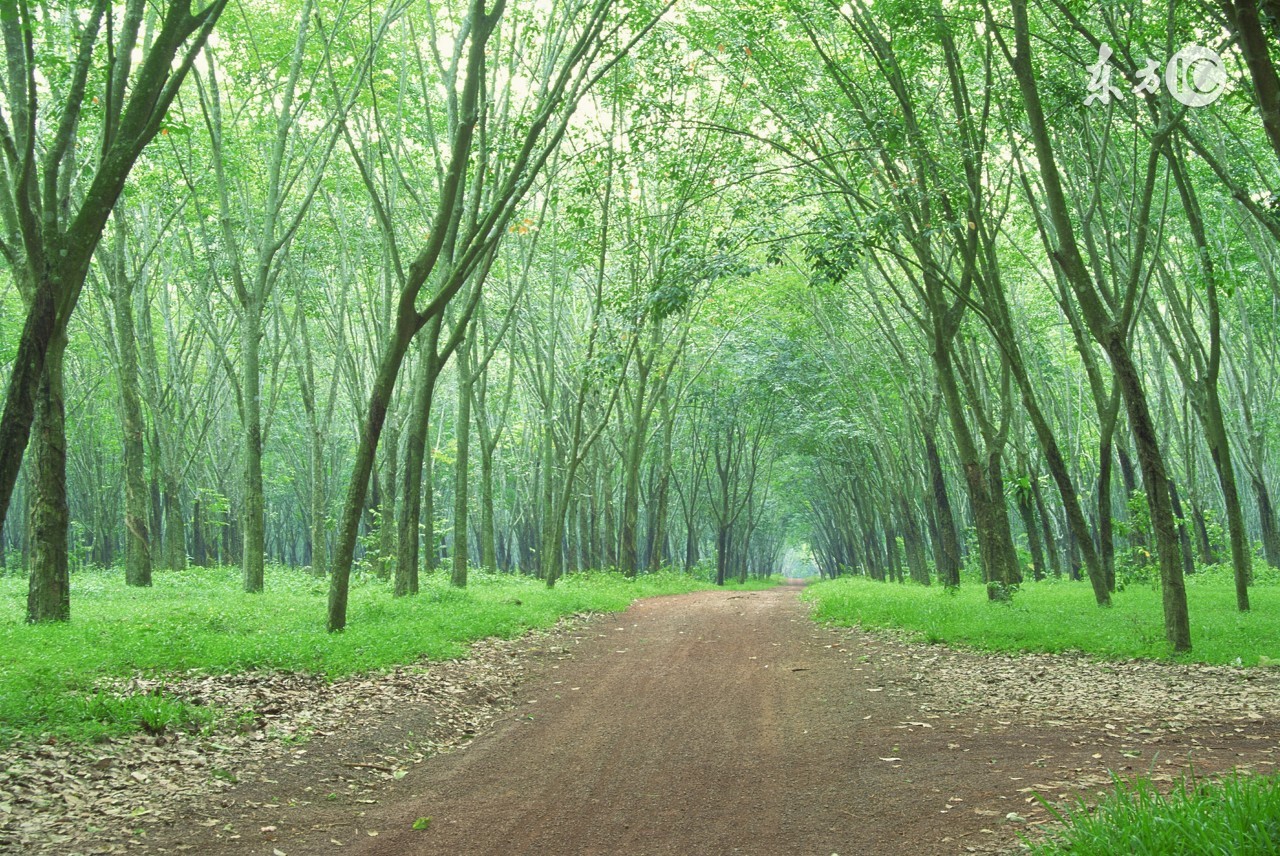 杨保志广州,杨保志