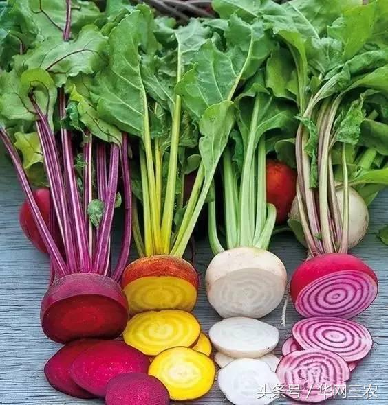 缅甸特产吃过3种算你牛？台州土特产出名啦看看有没有你老家的？网购的土特产都是家乡的味道？忻州特产？