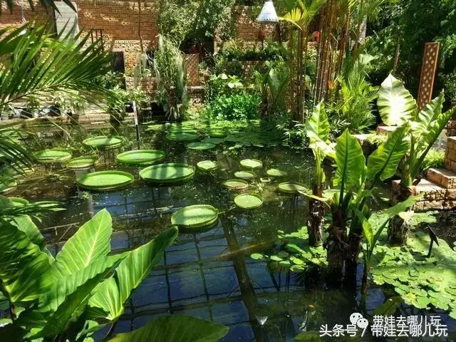 冲绳亲子游最强攻略,冲绳带娃旅游攻略