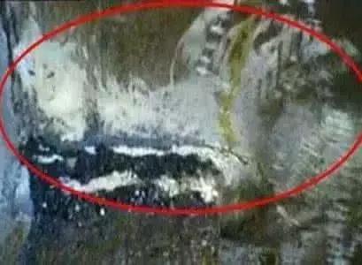 东北保家仙传说真实故事,揭秘东北保家仙的故事