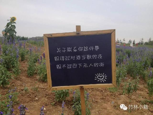 躲得过对酒当歌躲不过夜深人静,躲得过对酒当歌的夜却躲不过