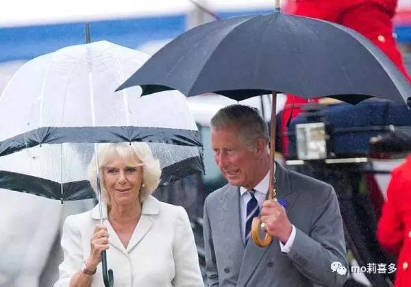 各个品类中的爱马仕,各个产品中的“爱马仕”