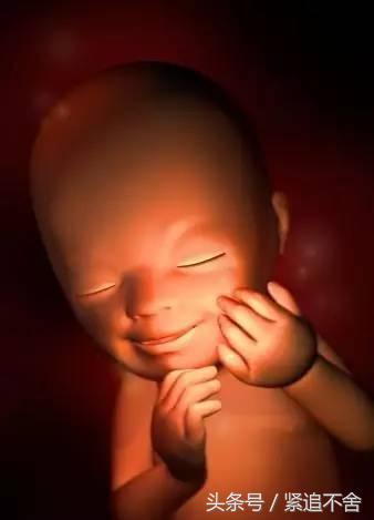 超萌龙凤胎宝宝图片,孕1到9周胎儿发育全过程