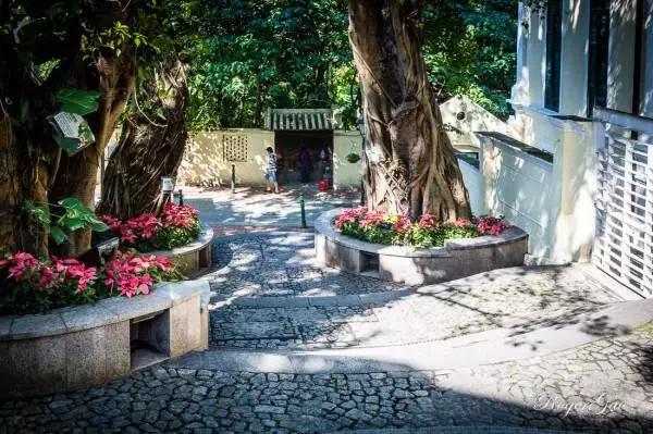 适合海边度假的亲子酒店,八月份适合出游的亲子度假酒店