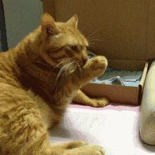 嘴巴咬破了可以用酒精吗,手指划破用口水冲洗了没事吧