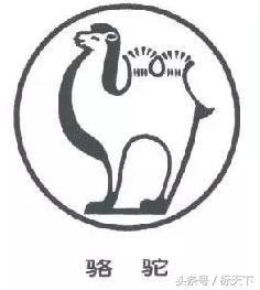 正宗骆驼的商标,骆驼商标有几种类型