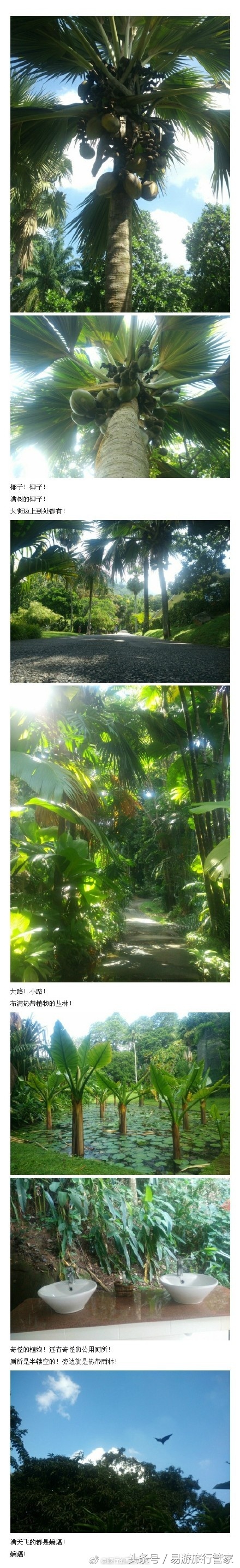 塞舌尔旅记自由行攻略,塞舌尔旅游攻略