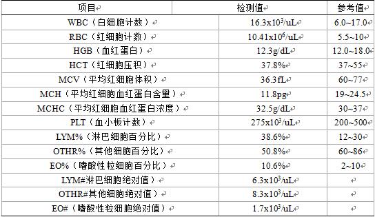 猫膀胱炎尿血但是精神正常,猫膀胱炎尿不出来怎么办