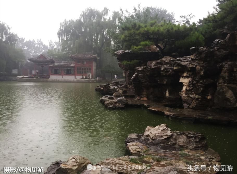 清水凌霄映芙蓉北京日坛公园雨中景｜一绮花见游（原创城市微旅行文章）