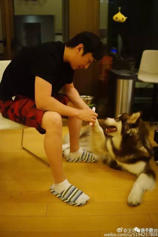 王思聪送王可可视频,王可可怎么遇到王思聪的