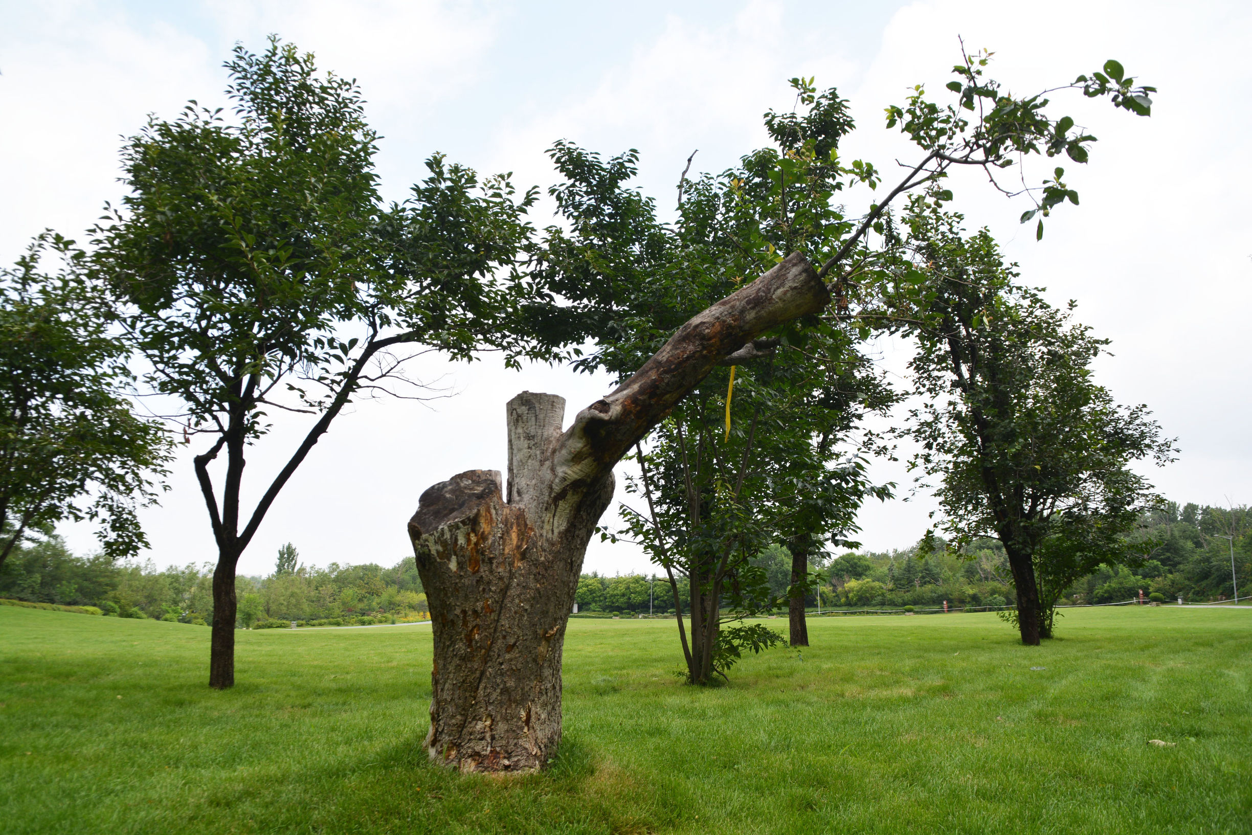 现代途胜四驱二手车11年,2020现代途胜2万公里值多少钱