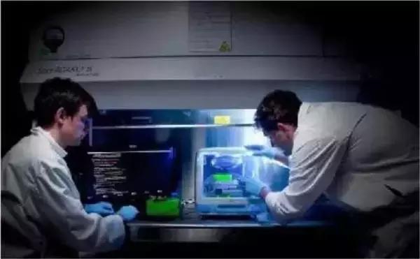 这位生物黑客教授竟然从苹果中培育出耳朵，功能与常人无异