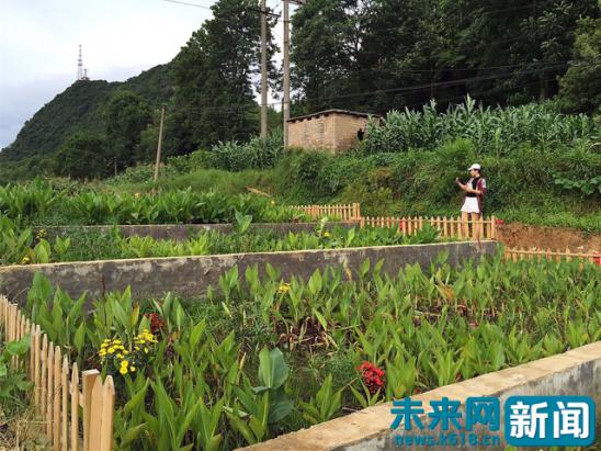 贵阳市水缸,贵阳的大水缸红枫湖