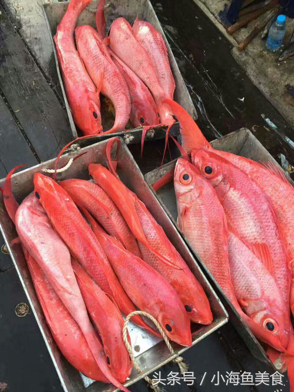 海南人农村小沟野钓,海南招募新村民