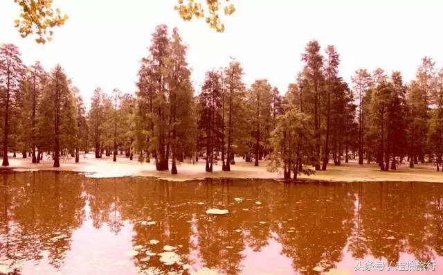 滁州有哪些地方可以下班去逛逛,滁州十大必去景点推荐