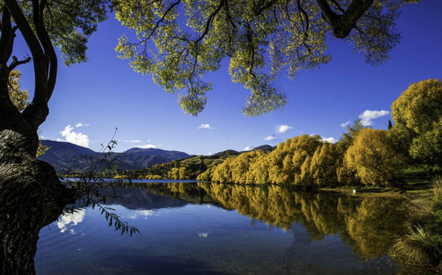新西兰南岛的冬天,新西兰南岛秋天最佳时间