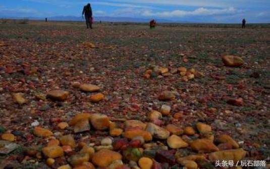 这种石头非常稀少,原来的石头有这么多的价值