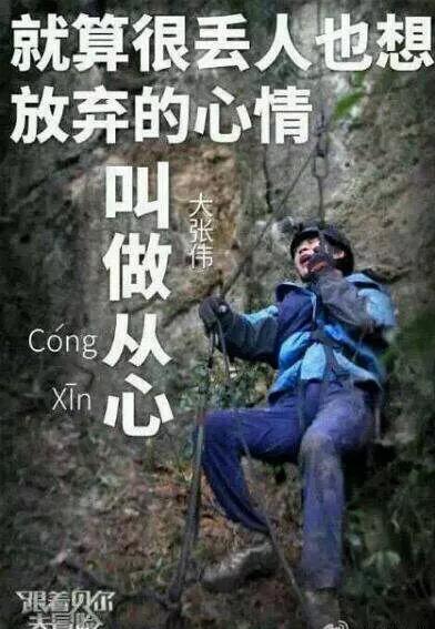 大张伟为什么爱穿低裆裤,大张伟为什么一定要穿大裆裤