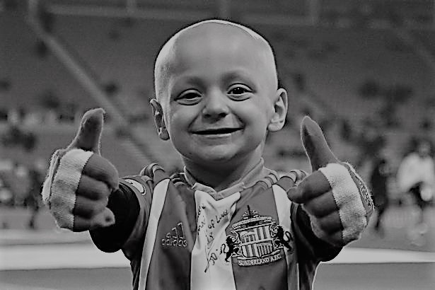 小布拉德利最后的话,小布拉德利视频