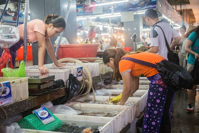 三亚旅游防蚊虫攻略,三亚防宰攻略详细