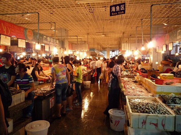 三亚旅游防蚊虫攻略,三亚防宰攻略详细