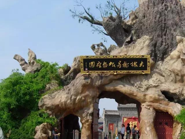 洪洞大槐树民歌问我祖先在何处,问祖先何处来山西洪洞大槐树歌曲