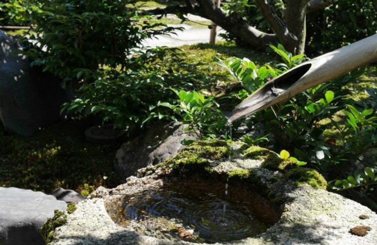 惊鹿｜竹·禅惊鹿