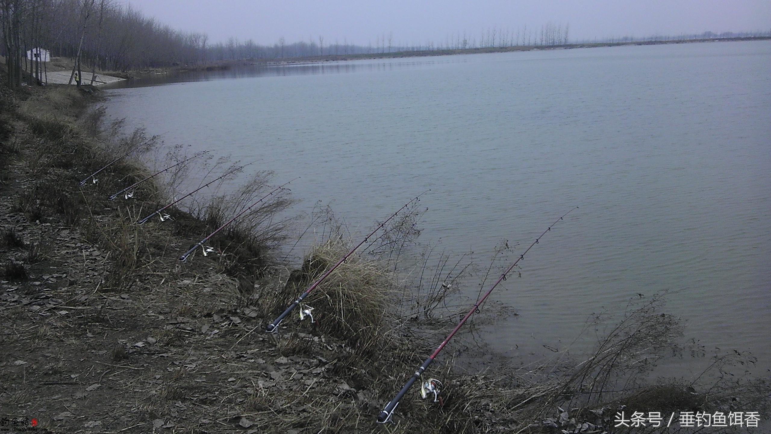 海竿浮钓线组组装方法大全,海竿钓大鱼线组单钩制作