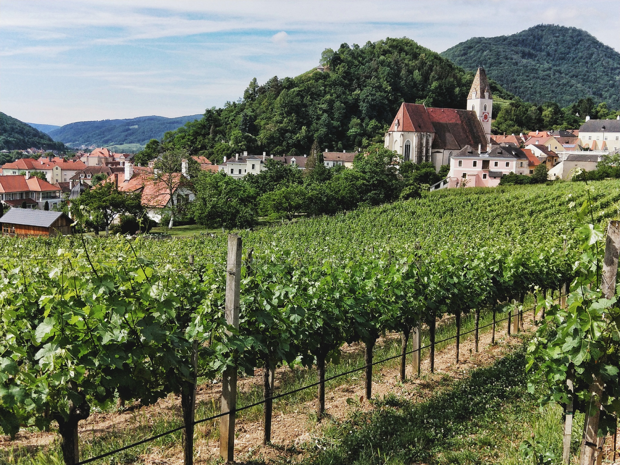 旅游如何让自己的气质更好,手机怎样拍出商品高级感视频