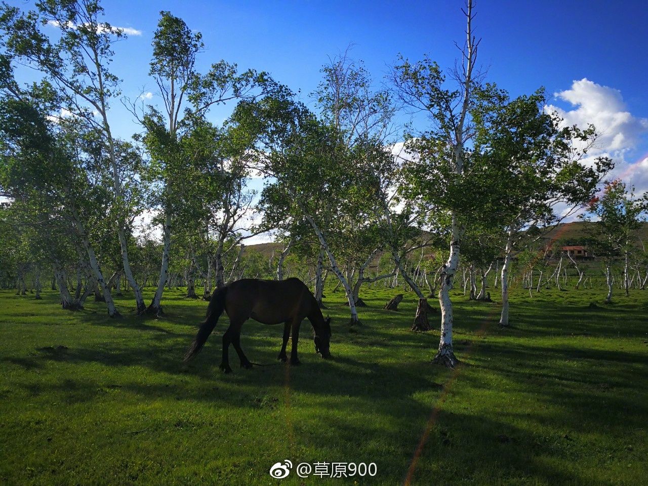 锡林郭勒草原星空,天堂草原锡林郭勒