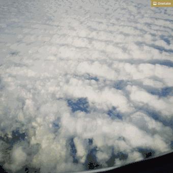 飞翔的新西兰人：这群人把10+小时的航班变成了一种乐趣