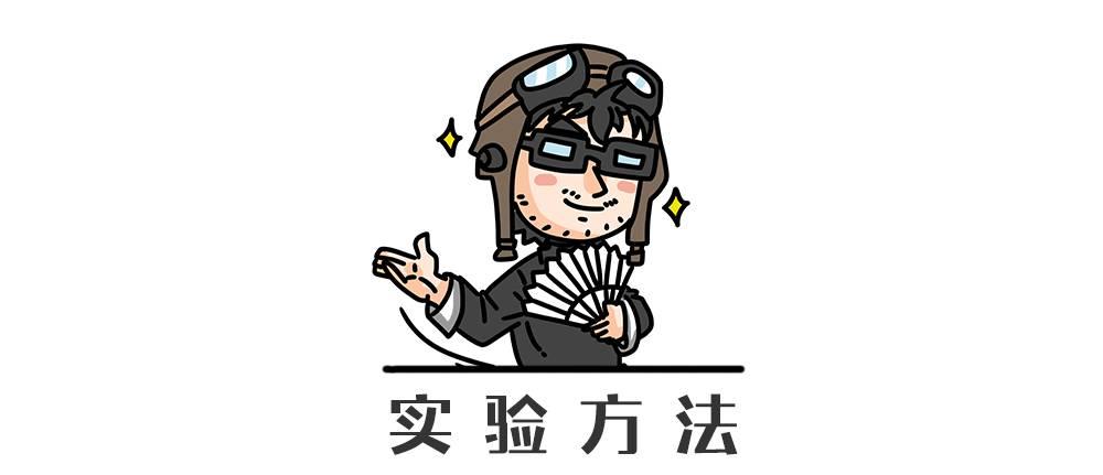 高速限速100开到120怎么处罚,区间测速100限速120怎么回事