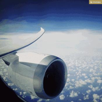 飞翔的新西兰人：这群人把10+小时的航班变成了一种乐趣