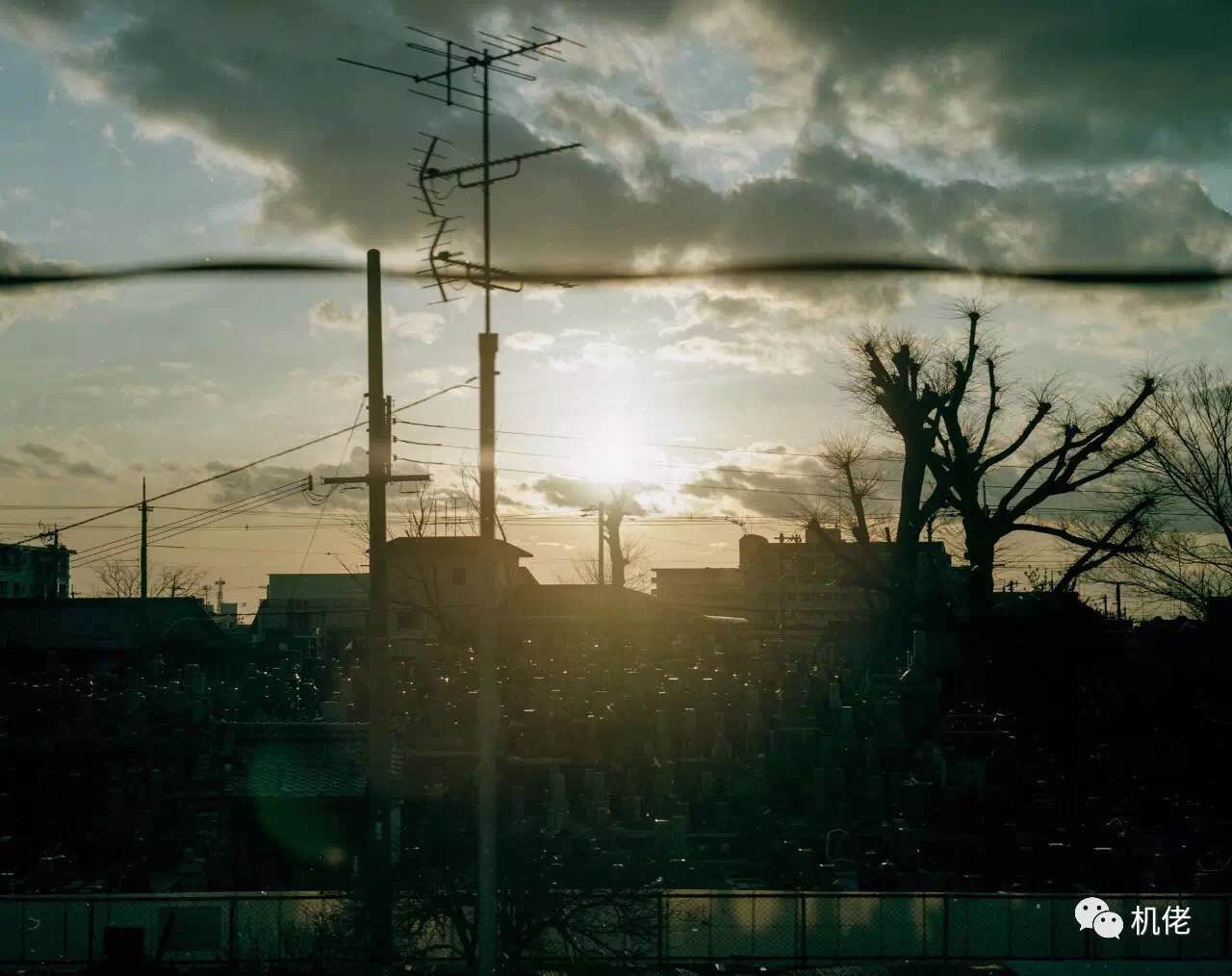 宾得风景照镜头推荐2019,宾得21mmf3.2拍人像