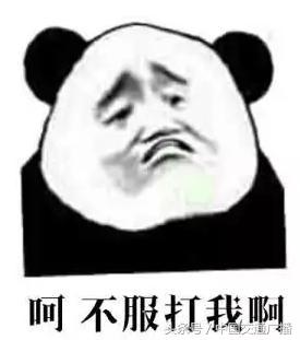 今天你那里下雨了么什么梗,今天你那里下雨了吗对话