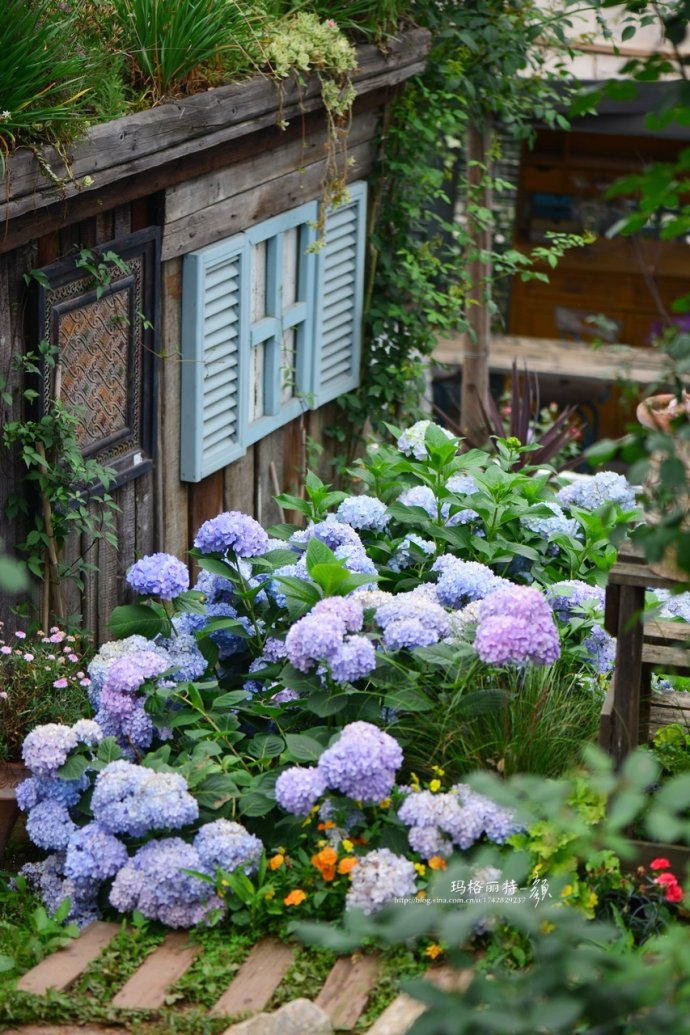 成都玛莉亚色彩花园,成都玛莉亚色彩花园电话