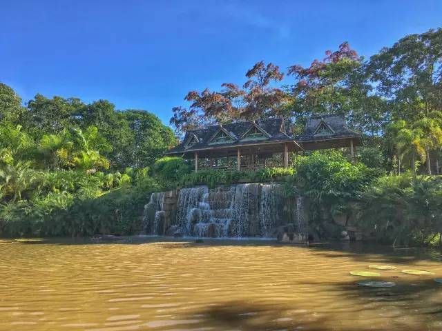 绿色的西双版纳,绿色的西双版纳完整版