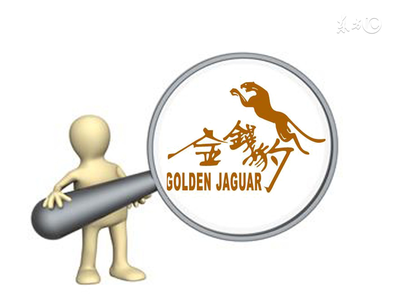 金钱豹获刑,金钱豹违规事件