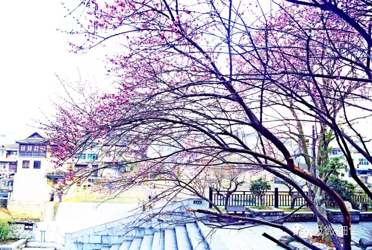 涔惧煄婀樿タ,婀樿タ涔惧煄鍙ゅ煄