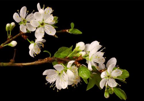 天气奥斯卡,奥斯卡金像奖地点