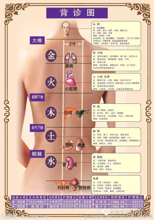背部诊断课程,背部诊疗学习