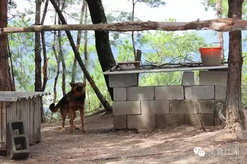 美食有一种情怀叫老味道,美食江湖情