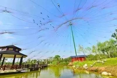 武汉最牛的景点,2019年武汉最高的标志性建筑