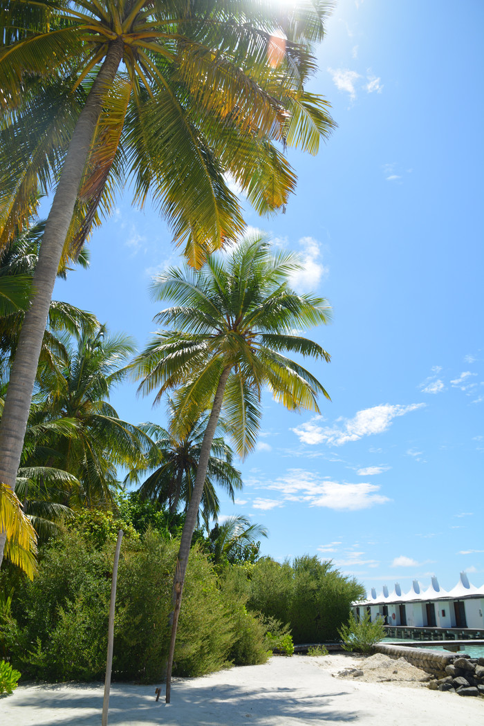 马尔代夫哈库拉岛好不好,马尔代夫哈库拉岛6日自助游