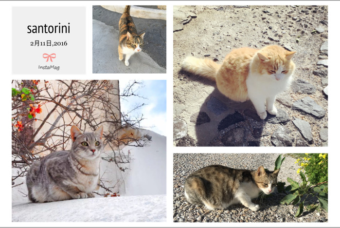 远离城市的喧嚣在静谧的时光里,远离城市的喧嚣静静的感受海浪